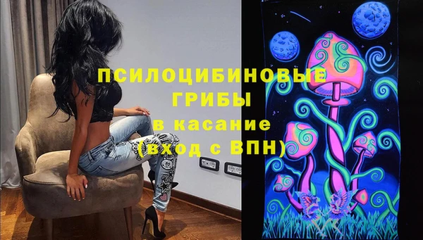 mdpv Богданович