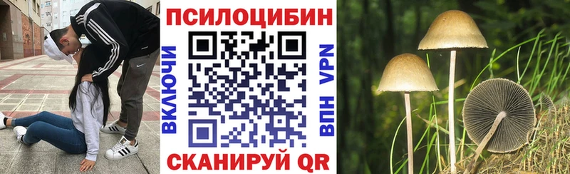 kraken сайт  Малая Вишера  Галлюциногенные грибы Cubensis 